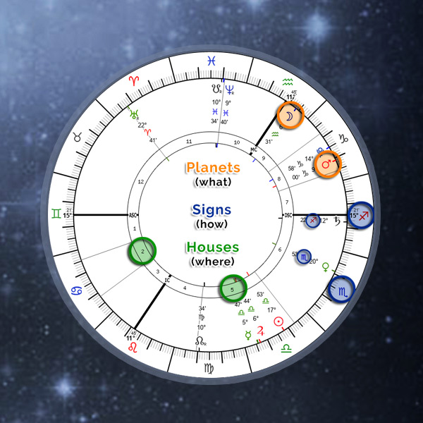 Sample Kundli Chart
